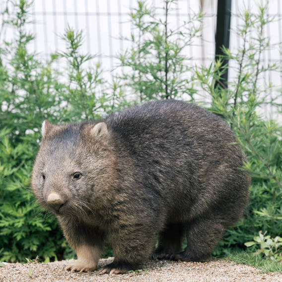 地域とともにあゆんできた動物園