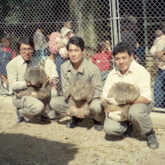 動物たちを守る飼育の取り組み