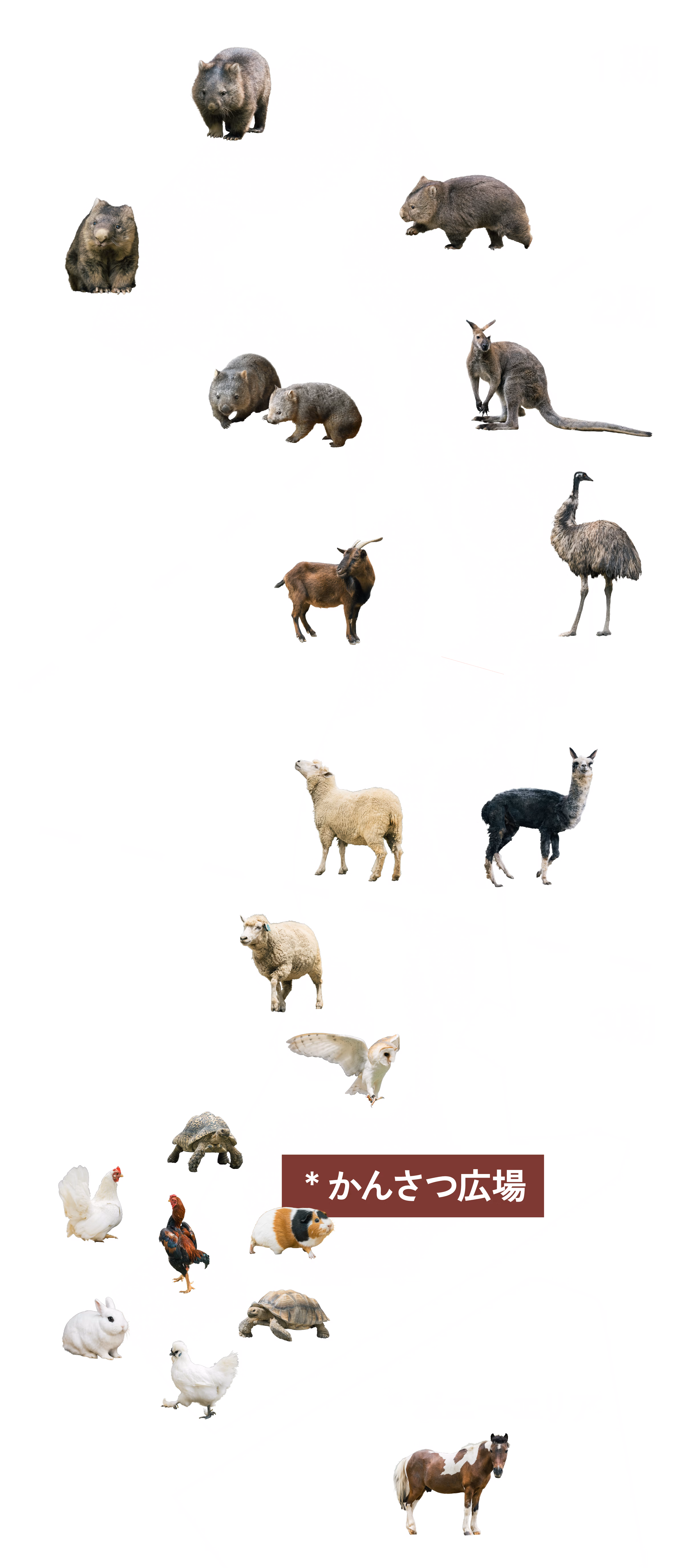 1期から3期までの園内マップ