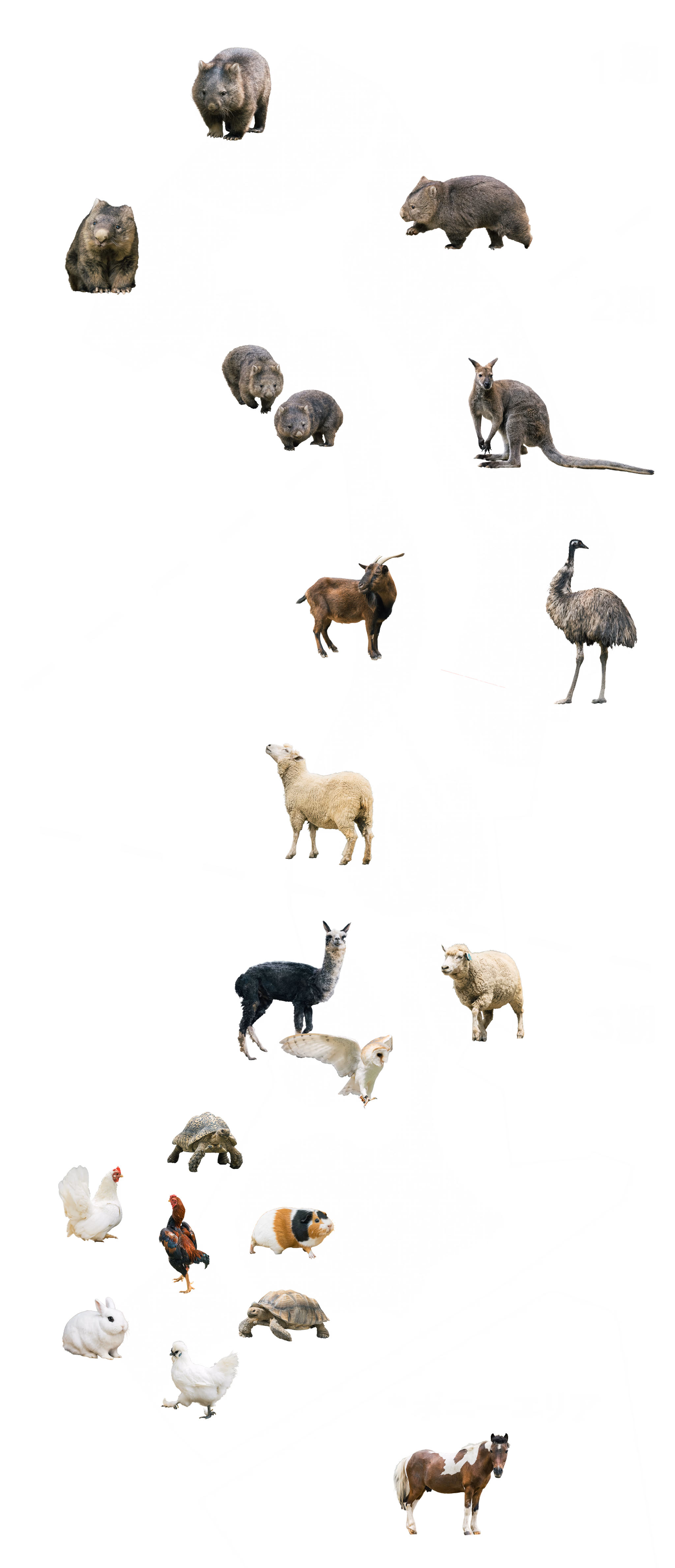 1期から3期までの園内マップ