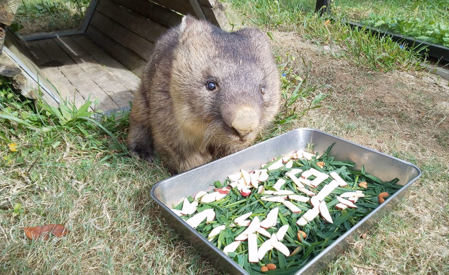 ワイン
