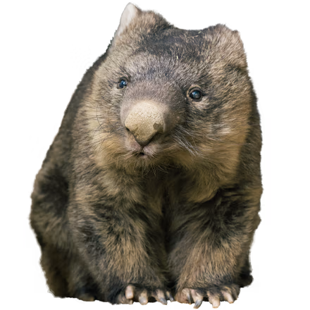 ワインを見る